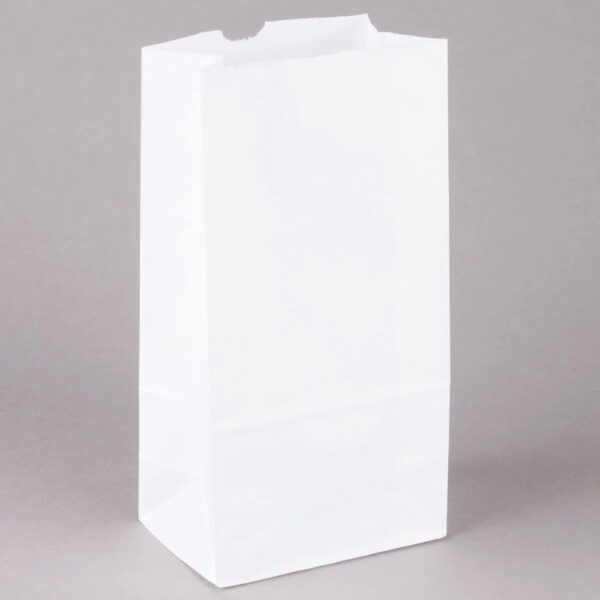 6lb White Paper Grocery Bag (6LBW)